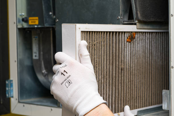 Best Affordable HVAC Duct Cleaning  in Belle, WV