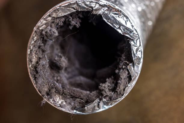 Best HVAC Duct Inspection Services  in Belle, WV