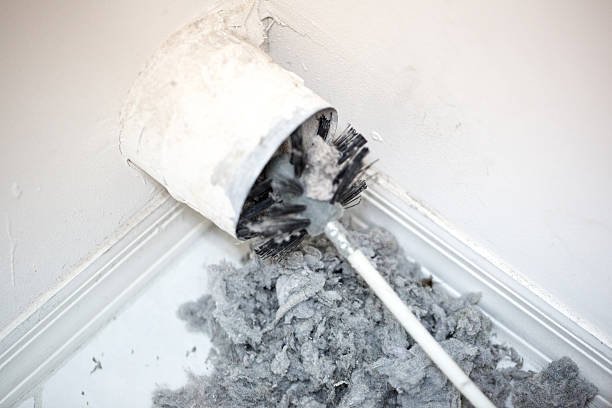 Best Ductwork Cleaning Services  in Belle, WV
