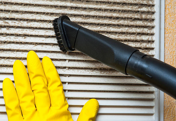 Best Local Air Duct Cleaning Services  in Belle, WV